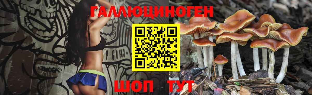 Галлюциногенные грибы MAGIC MUSHROOMS Костомукша
